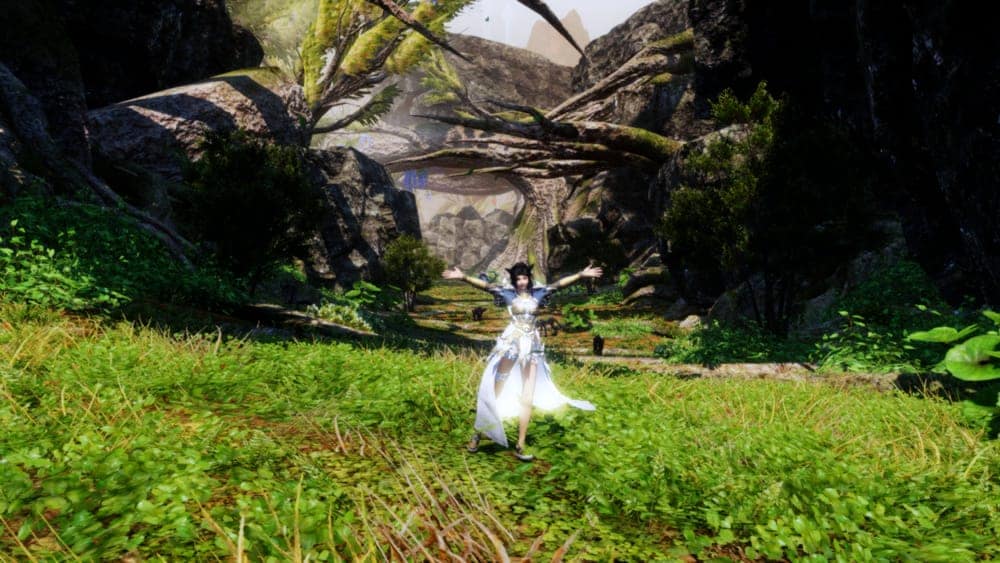 Your first steps in anemos lvl 1