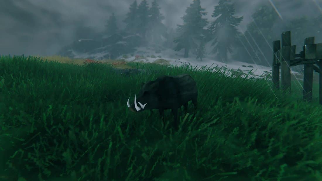 The Best Early Game Foods in Valheim