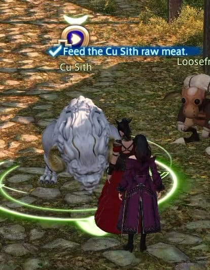 The Feed the Cu Sith raw meat quest objective in FFXIV