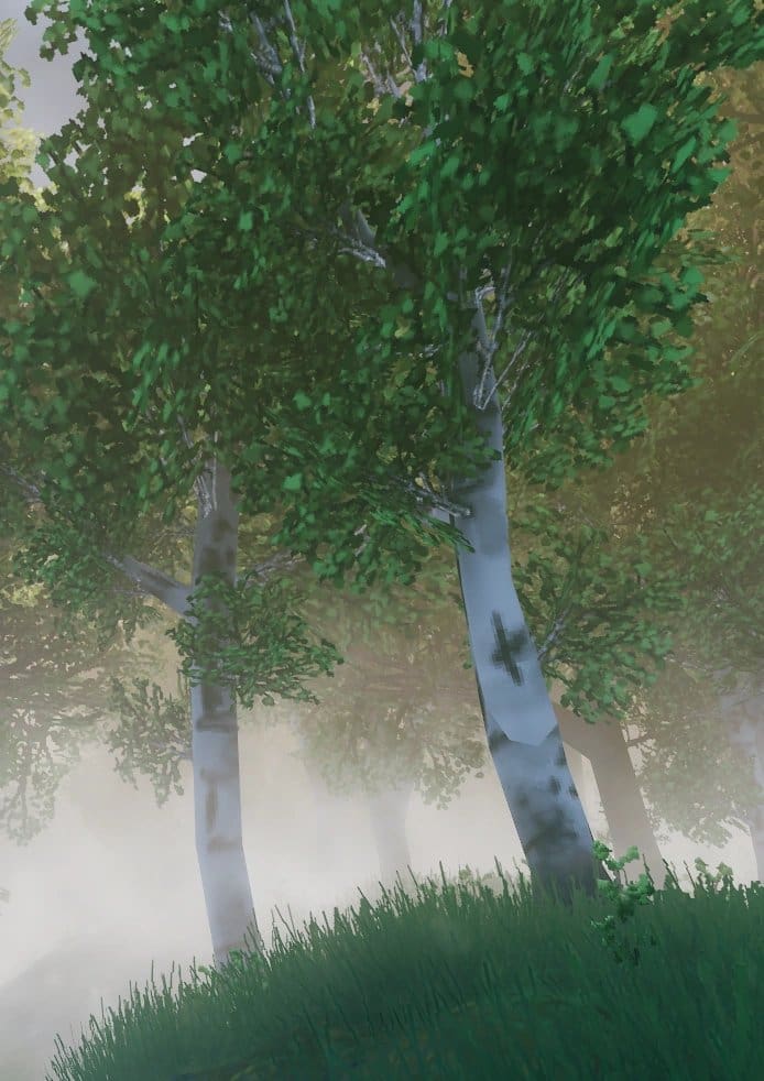 Birch. Tall, pale, papery bark. You will find them scattered through the Meadows.